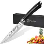 PAUDIN Allzweckmesser 13 cm, Profi Kochmesser 5Cr15MoV Scharfes Küchenmesser aus Rostfreiem Deutscher Edelstahl