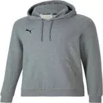 PUMA Herren Teamgoal 23 Causals Hoody Hoodie, Medium Gray Heather