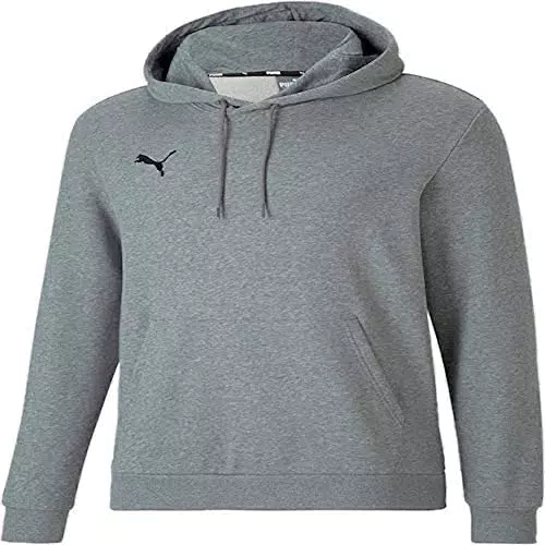 PUMA Herren Teamgoal 23 Causals Hoody Hoodie, Medium Gray Heather