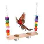 QIODAZOO Vögel Schaukel mit Vögel Näpfe, Vogel Schaukel Natürlichem Holz