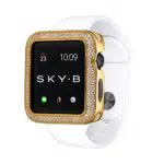 Sky B Case W009G42