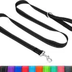 Taglory Hundeleine Reflektierend mit Weich Gepolsterter Griff und Metallhaken