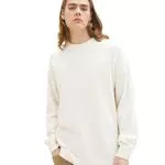 TOM TAILOR Denim Herren Pullover 1034929, 12906 - Wool White