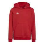 adidas Unisex Kinder Ent22 Hoody Y Sweatshirt, Team Power Red 2