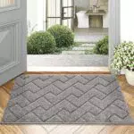 Biscpro Fußmatte Grau 50x80cm Innen und Außen, Waschbar Fussmatte