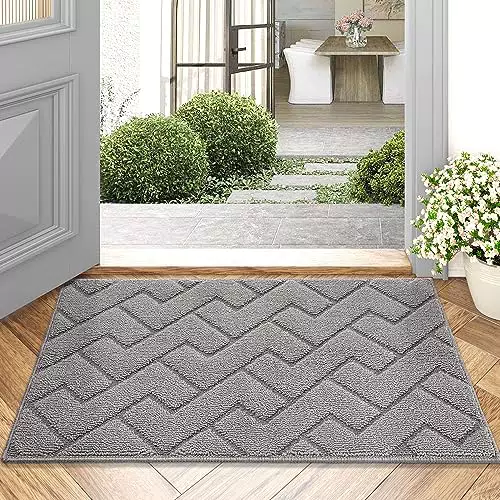 Biscpro Fußmatte Grau 50x80cm Innen und Außen, Waschbar Fussmatte