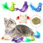 Dorakitten 4 Katzenminze Spielzeug, Interaktives Kätzchen-Spielzeug