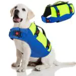 Eyein Schwimmwesten für Mittlere Hunde, Größenverstellbare Hundeschwimmweste mit starkem Auftrieb