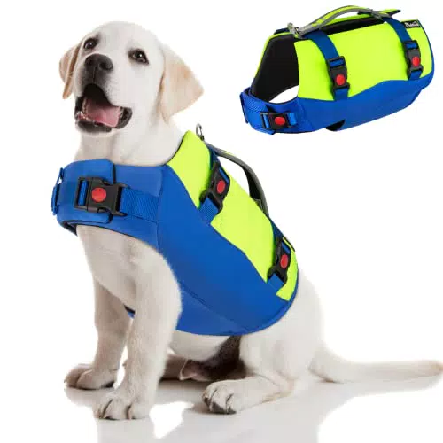 Eyein Schwimmwesten für Mittlere Hunde, Größenverstellbare Hundeschwimmweste mit starkem Auftrieb
