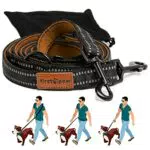 FIRSTPAW Hundeleine 2m für kleine mittelgroße und große Hunde - Verstellbar Umhängeleine Hund 1.1m / 1.3m / 1.5m / 2m - Multifunktionelle Führleine - Doppelleine für Hunde mit 2 Karabiner Schwarz