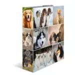 HERMA 7165 Ordner A4 Tiere Hunde, 7 cm breit, Motiv Aktenordner aus Pappe mit Innendruck für Schule & Büro