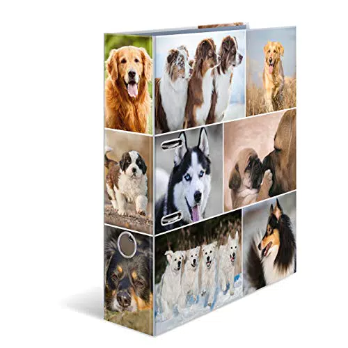 HERMA 7165 Ordner A4 Tiere Hunde, 7 cm breit, Motiv Aktenordner aus Pappe mit Innendruck für Schule & Büro