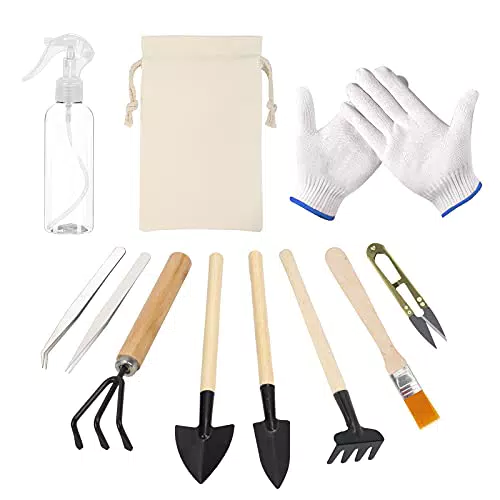 HONMOK 10 Stück Mini Gartenwerkzeug Set Bonsai Werkzeug Miniatur Gartengeräte Gartenarbeit Werkzeug für Sukkulenten Topfpflanze Gartenpflege Pflanzenpflege
