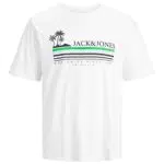 JACK&JONES JORCODY Summer Tee SS Crew Neck