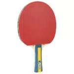 JOOLA 52001 Unisex  Erwachsene Team Master Tischtennisset