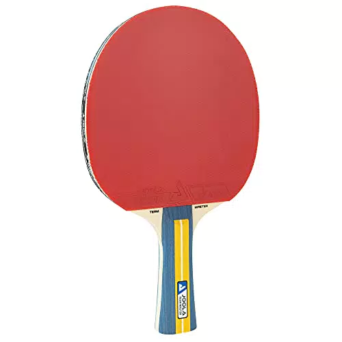 JOOLA 52001 Unisex  Erwachsene Team Master Tischtennisset