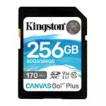 Kingston SDG3/256GB SD Speicherkarte