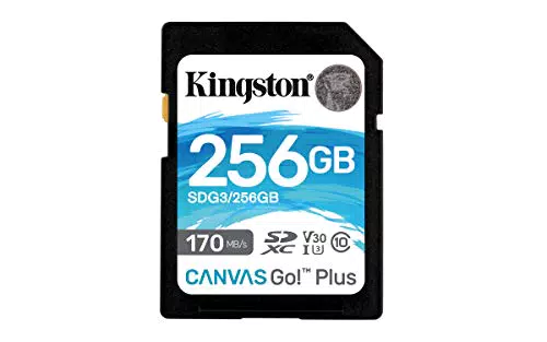 Kingston SDG3/256GB SD Speicherkarte