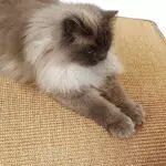 Kratzmatte für Katzen - Fußmatte Sisal Kratzteppich - natürliche Sisalmatte robust - Vorleger aus 100% Sisal - Farbe: Natur 60 x 80 cm