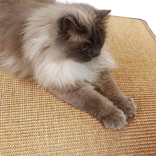 Kratzmatte für Katzen - Fußmatte Sisal Kratzteppich - natürliche Sisalmatte robust - Vorleger aus 100% Sisal - Farbe: Natur 60 x 80 cm