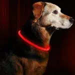 LED Leuchthalsband Hunde Halsband USB wiederaufladbar - Längenverstellbarer Haustier Sicherheit Kragen für Hunde und Katzen - 3 Modus