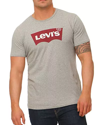 Levi's Herren Graphic Set-In Neck T-Shirt, Grey, M