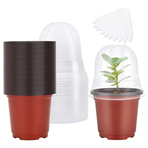 MIXC Blumentopf Plastik 30 Stück Pflanztöpfe mit Feuchtigkeitskuppel 10 cm