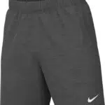 Nike Herren Cw6910-071_m Fussball Shorts, Grau, M EU