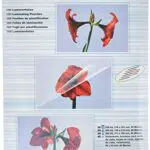 OLYMPIA Laminierfolien-Set 80 Mikron DIN A4, A5, A6