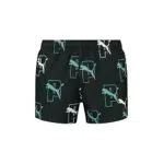 PUMA Herren Shorts, Black Combo, XL