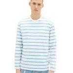 TOM TAILOR Denim Herren Longsleeve T-Shirt 1035593, 31358 - Blue Thin Stripe