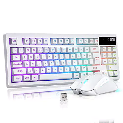 ZJFKSDYX C87 Kabelloses Gaming Tastatur und Maus Set