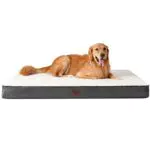 EHEYCIGA Orthopädisches Hundebett XXL Grosse Hunde