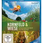 Kornfeld und Wiese - Entdeckungsreise durch eine Wunderwelt
