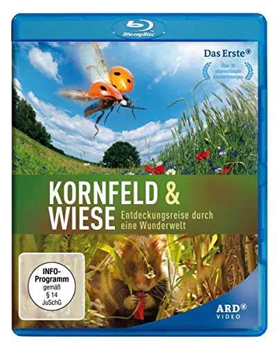 Kornfeld und Wiese - Entdeckungsreise durch eine Wunderwelt