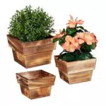 Relaxdays Blumentopf im 3er Set, geflammtes Holz, für außen & innen