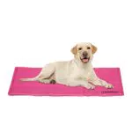 Relaxdays Kühlmatte Hund, 60 x 100 cm, selbstkühlende Hundematte