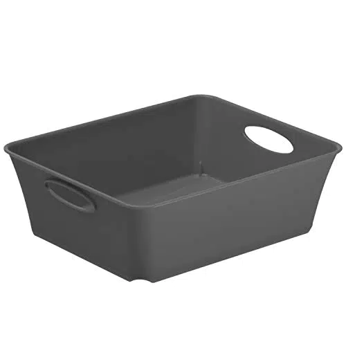 Rotho Living kleine Aufbewahrungsbox 1l, Kunststoff BPA-frei