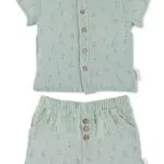 Sterntaler Baby Jungen Set Shirt mit kurzer Hose Set Hemd und kurze Hose Palme - Baby Shorts Shirt Set - aus Baumwolle - mittelgrün