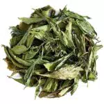 Stevia Blätter Bio Getrocknetes Süßblatt - Stavia Blatt Bio Stevia Stevia Blaetter Bio Stevia Blätter Getrocknet Steviablaetter Getrocknete Blätter