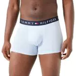 Tommy Hilfiger Herren Boxershorts Retroshorts, Breezy Blue