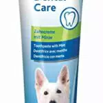 Trixie Dental Care Minze, 100 g, Zahncreme für Hunde