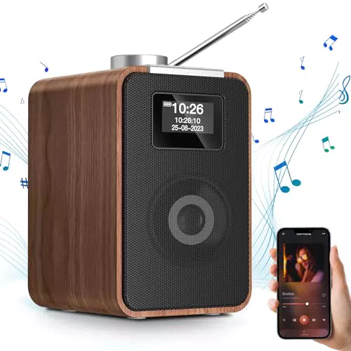 Wholede DAB Plus Radio mit Bluetooth, DAB Radio mit 2000mAh Akku