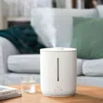 Ailgely 2, 8 L Luftbefeuchter Hohe Kapazität, Diffusor für ätherische Öle mit warmweißem Licht