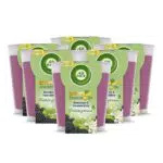 Air Wick Wohlfühl-Duftkerze im Glas Duft: Brombeere und Holunderblüte Enthält natürliche ätherische Öle 6 x 105g Duftkerze in Lila