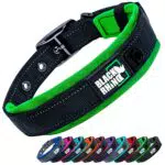 Black Rhino - Das Comfort Halsband Super Weiches Neopren Gepostertes Hundehalsband für alle Hunderassen - Hochbeanspruchbar Verstellbar Reflektierend Wetterfest