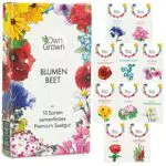 Blumen Samen für Garten und Balkon: 10 Sorten Premium Blumensamen Tütchen als Pflanzensamen Set Balkonblumen Samen Wildblumensamen Saatgut Balkon und Samen Garten Blumensamen Balkon von OwnGrown