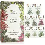 Bonsai Samen Set: Premium Bonsai Starter Kit mit 8 Sorten Bonsai Saatgut 40 Samen im Bonsai Anzuchtset zum Bonsai Züchten für den Mini Garten und Zen Garten