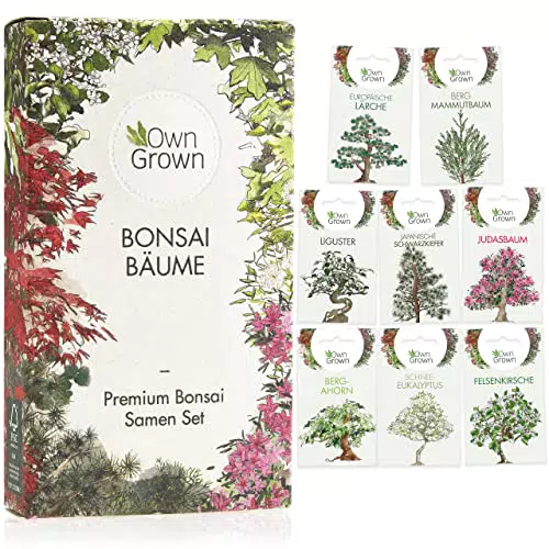 Bonsai Samen Set: Premium Bonsai Starter Kit mit 8 Sorten Bonsai Saatgut 40 Samen im Bonsai Anzuchtset zum Bonsai Züchten für den Mini Garten und Zen Garten