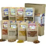 direct&friendly 8er Set Bio Grill Rubs, Probier- und Geschenkset mit 8 verschiedenen Grill-Mischungen